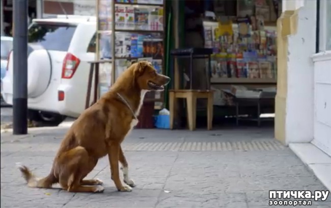 ���� 2: ������ ����� ����� �������� ���� ������ ��������� �� ��������,