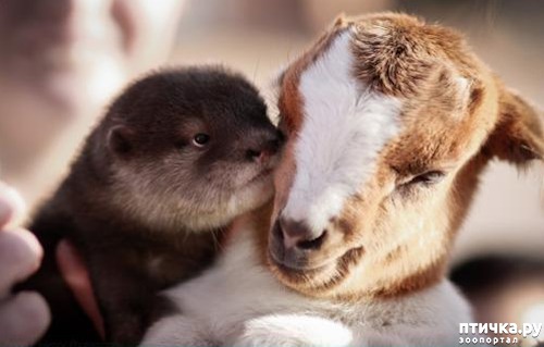 ���� 13: ������ - ������� ����