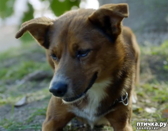 ���� 3: ������ ����� ����� �������� ���� ������ ��������� �� ��������,