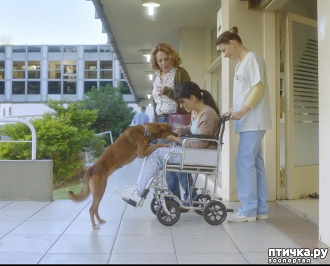 ���� 4: ������ ����� ����� �������� ���� ������ ��������� �� ��������,