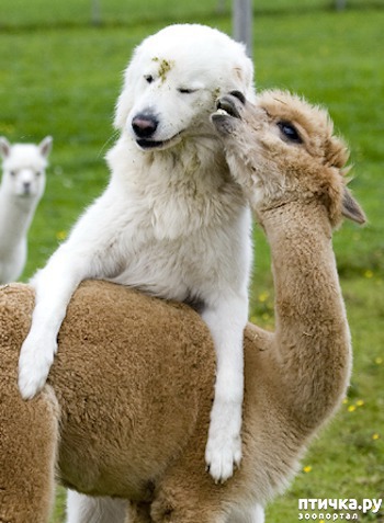 ���� 17: ������ - ������� ����