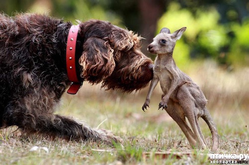 ���� 19: ������ - ������� ����