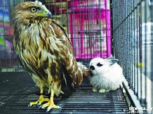 ���� 20: ������ - ������� ����