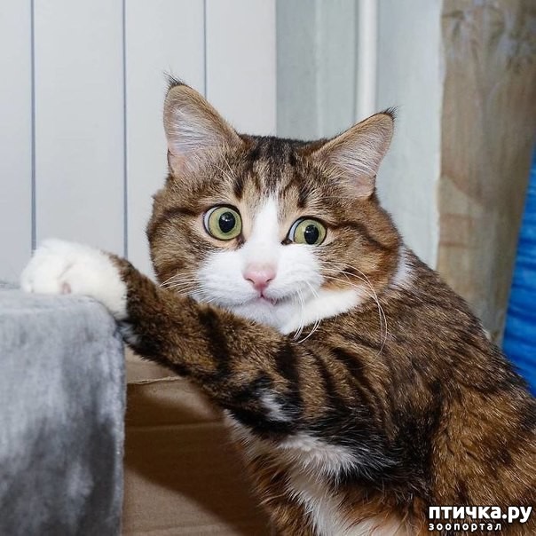 ���� 2: �����