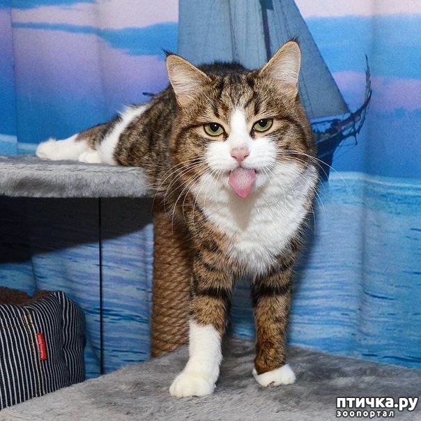 ���� 7: �����