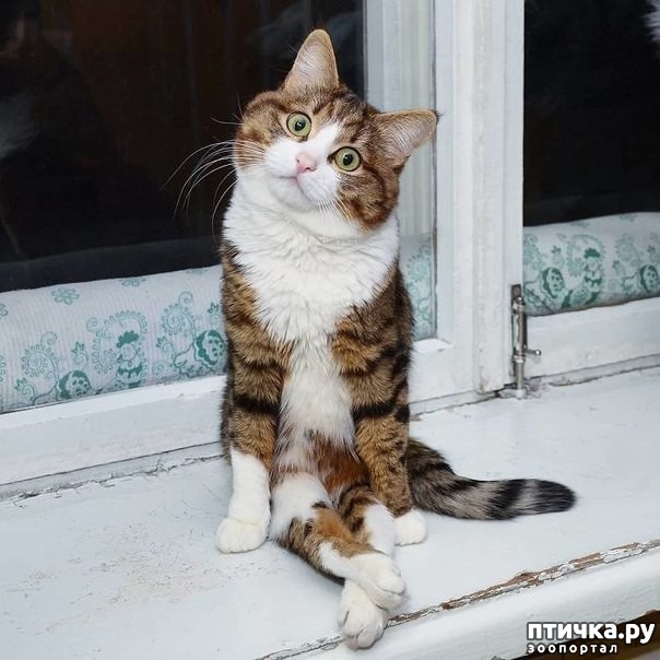 ���� 9: �����