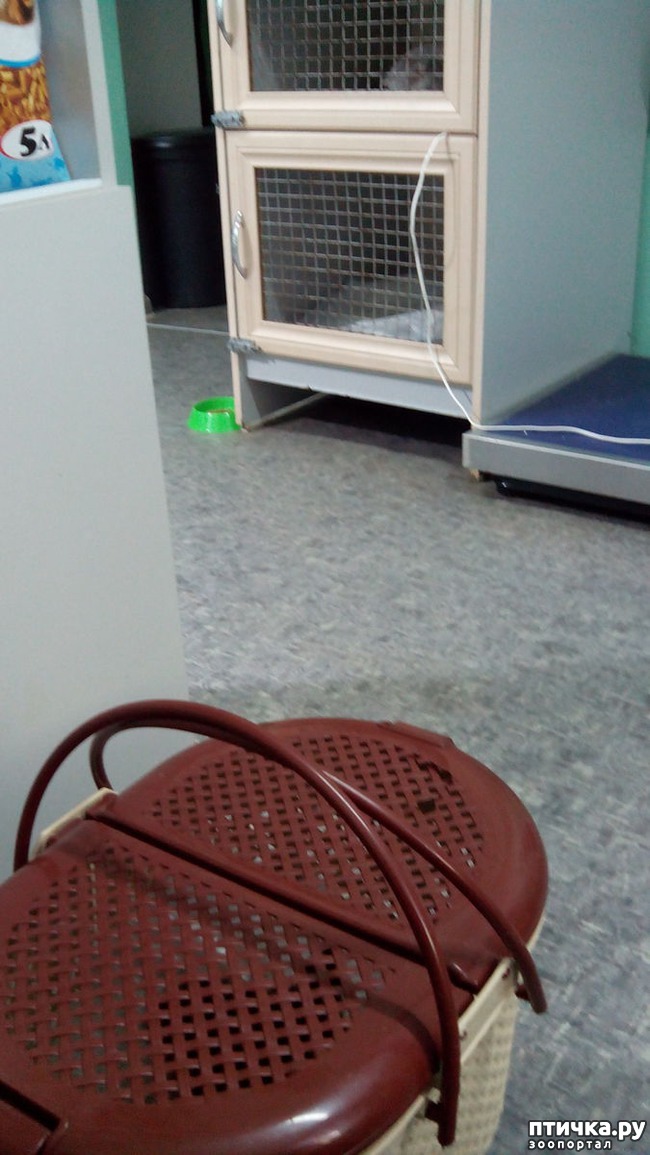 ���� 2: ������������ ����� �������