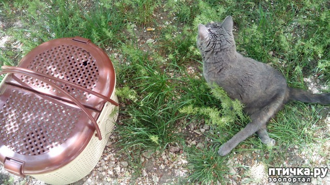 ���� 5: ������������ ����� �������