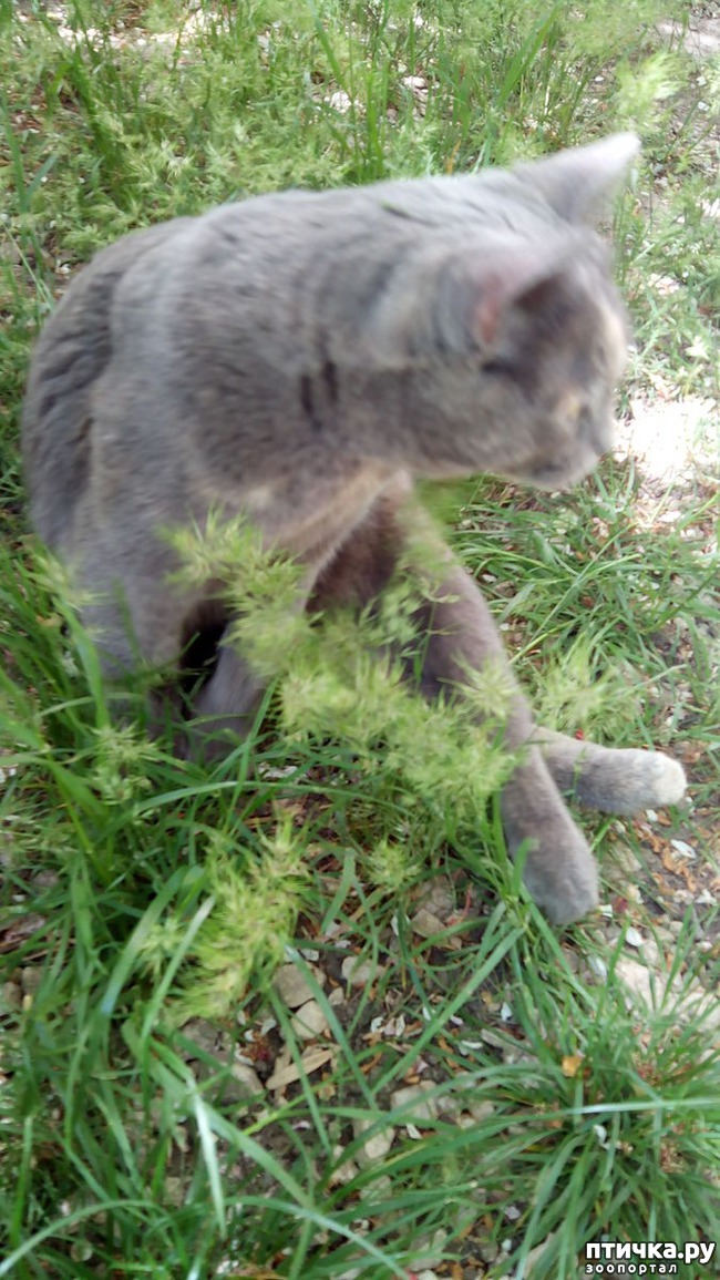 ���� 6: ������������ ����� �������