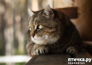 ����: ����� �� �������� ��������