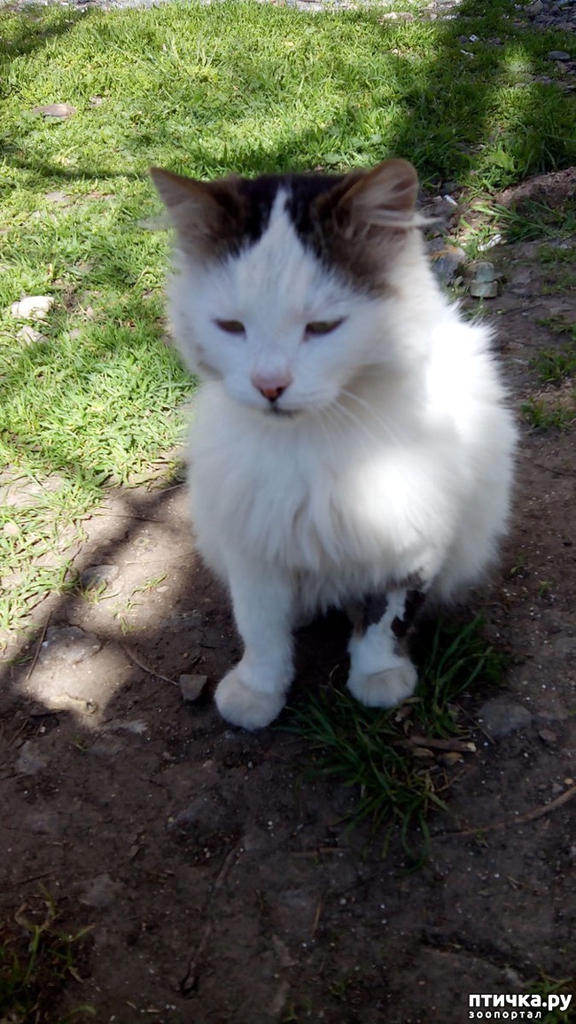 ���� 1: ���������� ��������