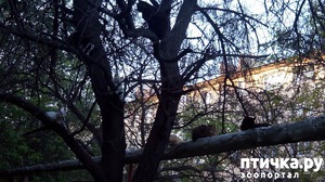 ����: ������� ���������