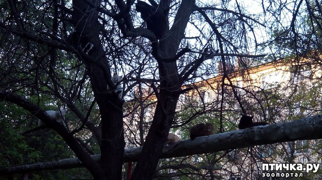 ���� 1: ������� ���������