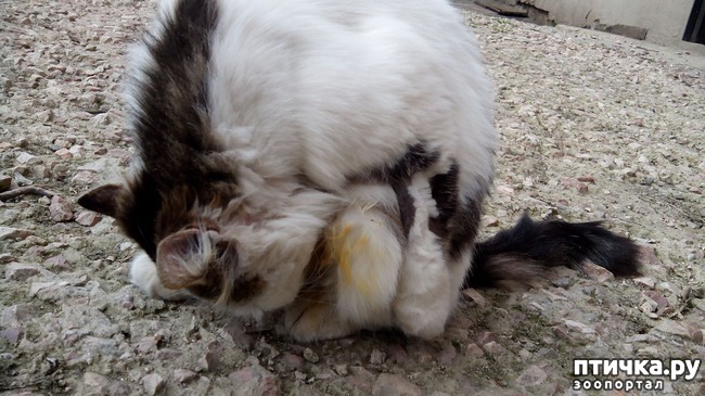 ���� 2: ���������� ��������