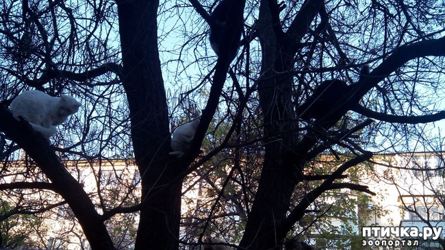 ���� 3: ������� ���������