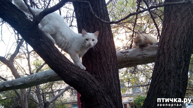 ���� 4: ������� ���������