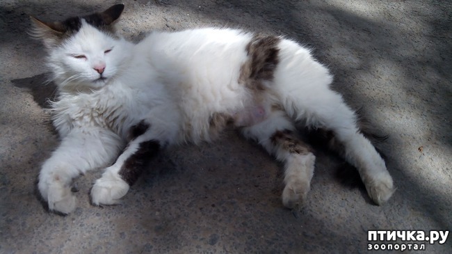 ���� 4: ���������� ��������