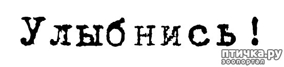 ���� 28: ������ ����������