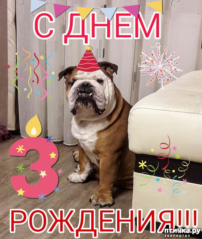 ���� 1: � ���� ��������