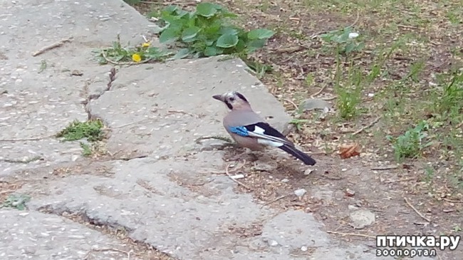 ���� 1: �����