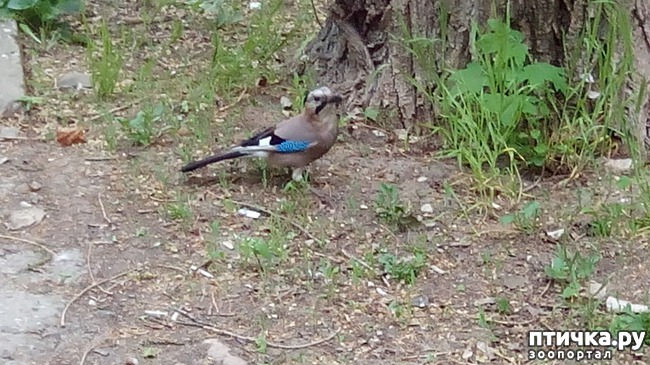 ���� 2: �����