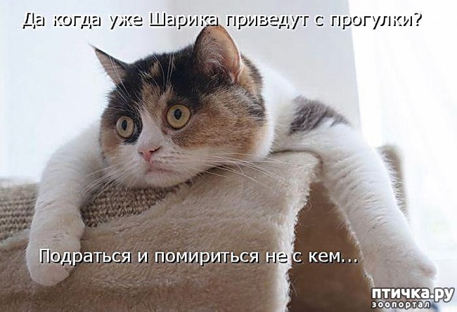 ���� 3: ������ ����������