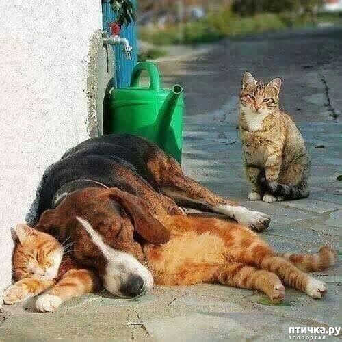 ���� 7: ������ ����������