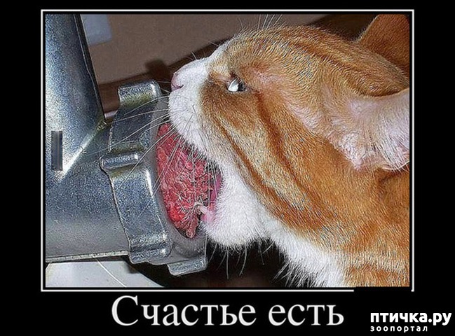 ���� 8: ������ ����������