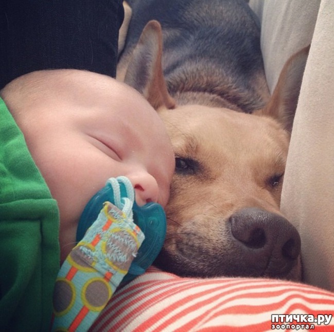 ���� 9: ������ ����������