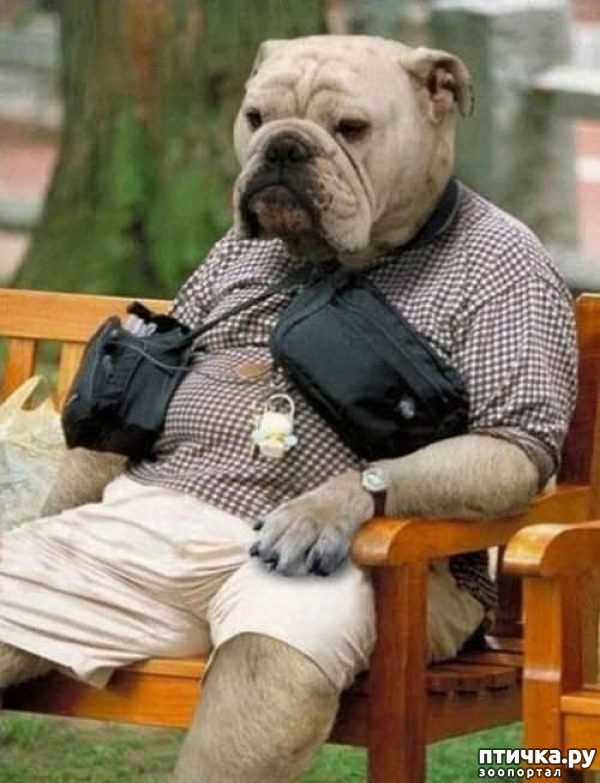 ���� 11: ������ ����������