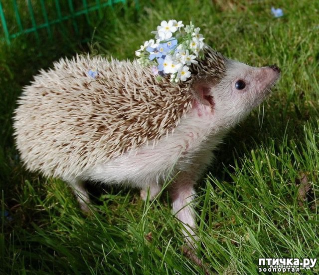 ���� 12: ������ ����������