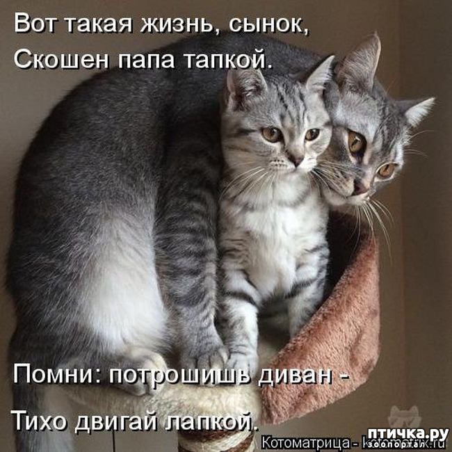 ���� 15: ������ ����������