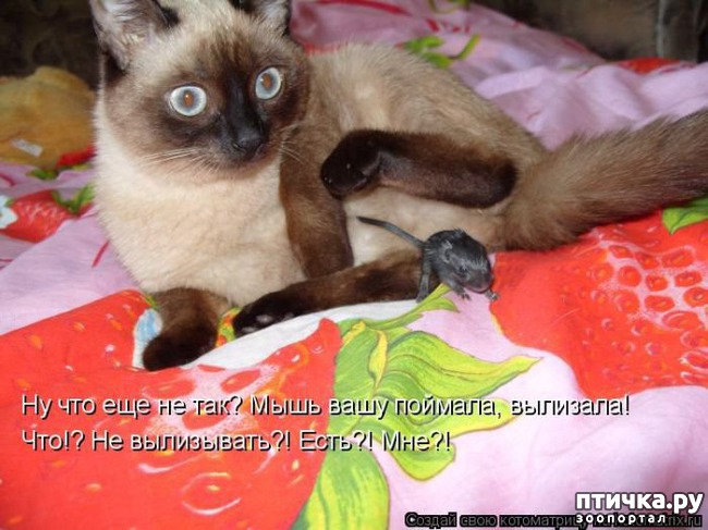 ���� 16: ������ ����������