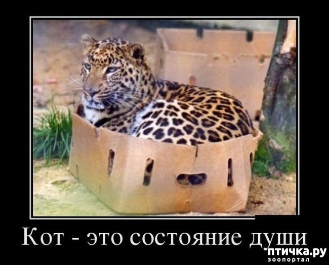 ���� 17: ������ ����������