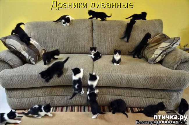 ���� 18: ������ ����������