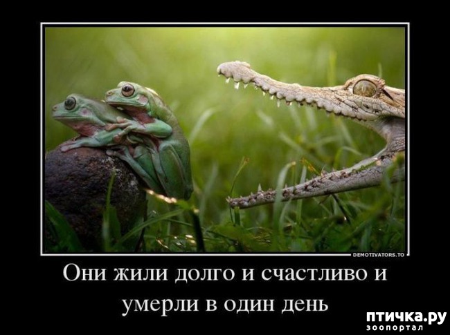 ���� 20: ������ ����������