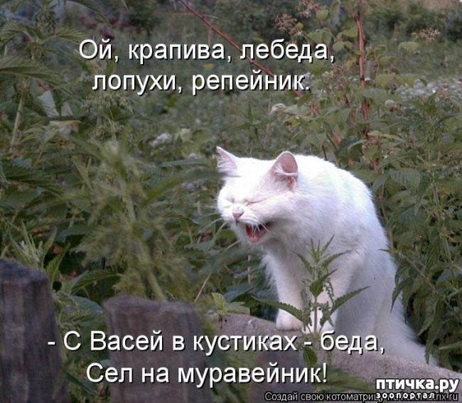 ���� 21: ������ ����������