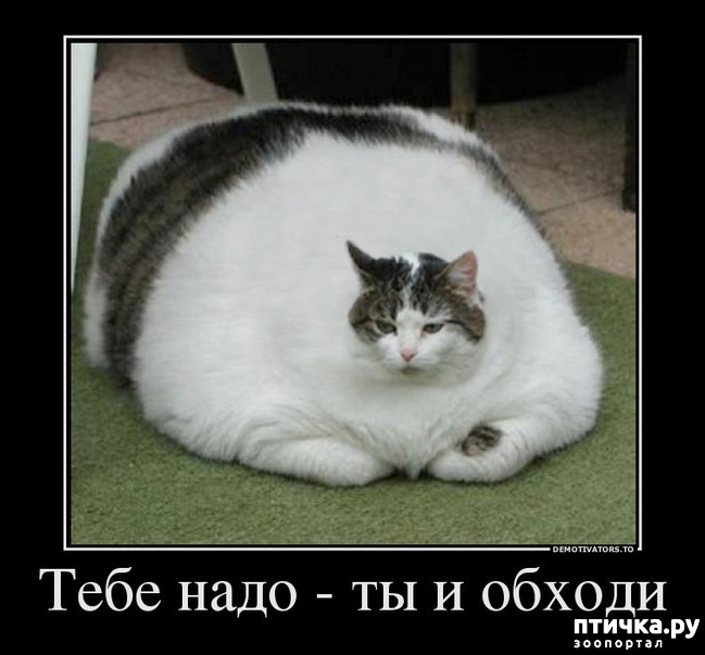 ���� 22: ������ ����������