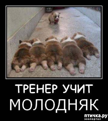 ���� 23: ������ ����������