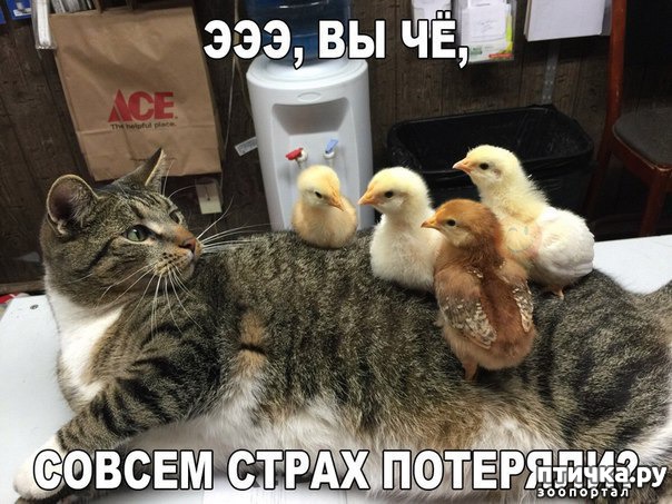 ���� 24: ������ ����������