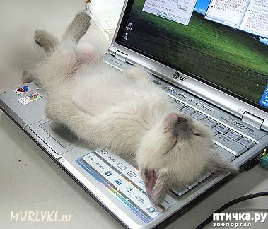 ���� 25: ������ ����������