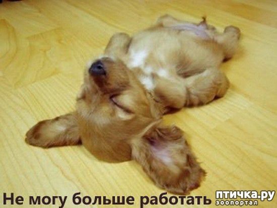 ���� 26: ������ ����������