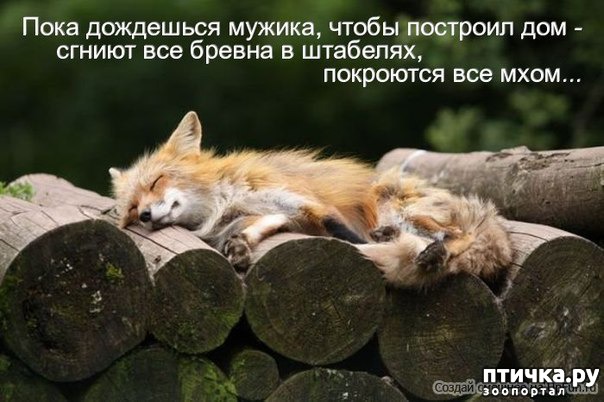 ���� 27: ������ ����������