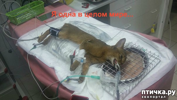 ���� 5: ��������� ������� ����� ������������ ����������� ������