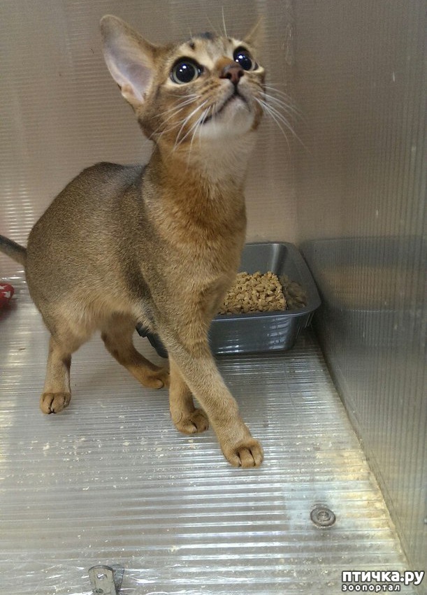 ���� 6: ��������� ������� ����� ������������ ����������� ������