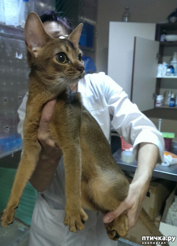 ���� 7: ��������� ������� ����� ������������ ����������� ������