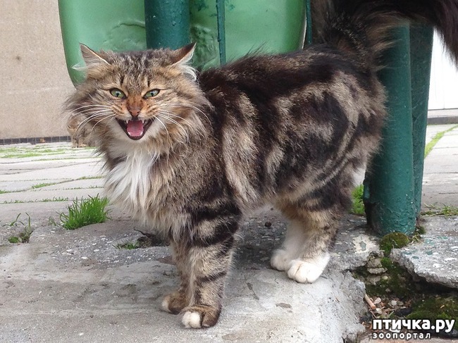 ���� 1: ��������� ���������!)