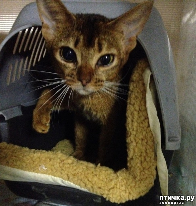 ���� 9: ��������� ������� ����� ������������ ����������� ������