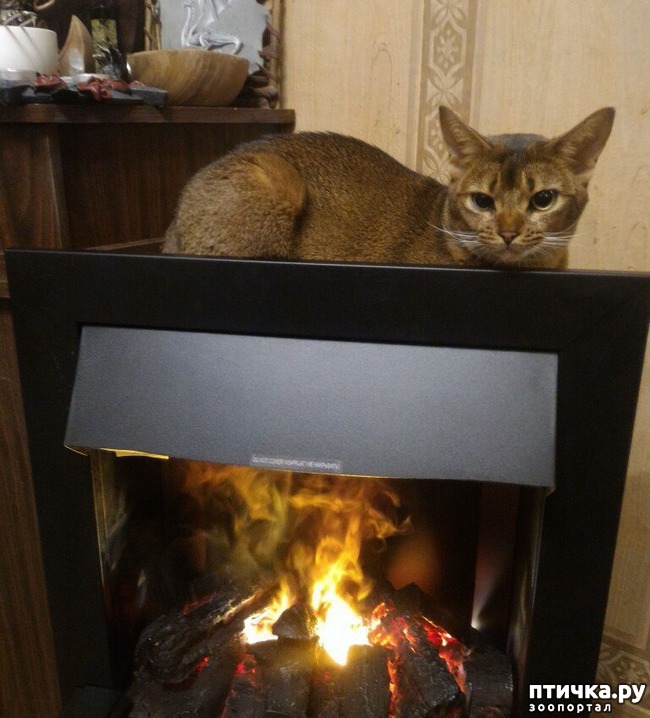 ���� 10: ��������� ������� ����� ������������ ����������� ������