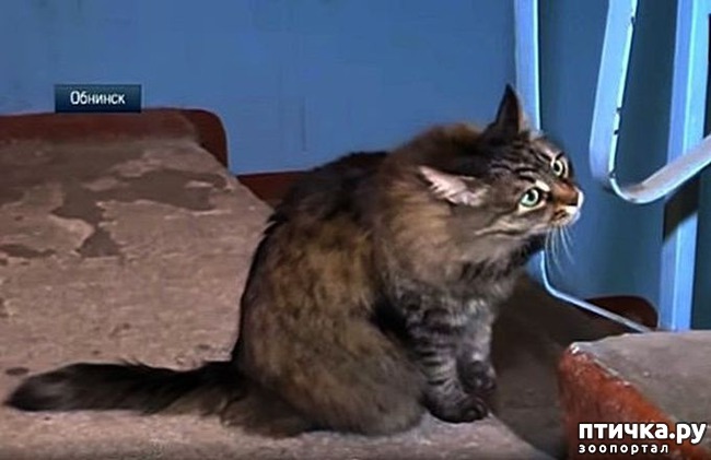 ���� 2: ����� ������ �������. ����� ����� ����� ��������...